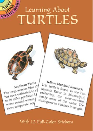 Learning About Turtles (Mini Dover)