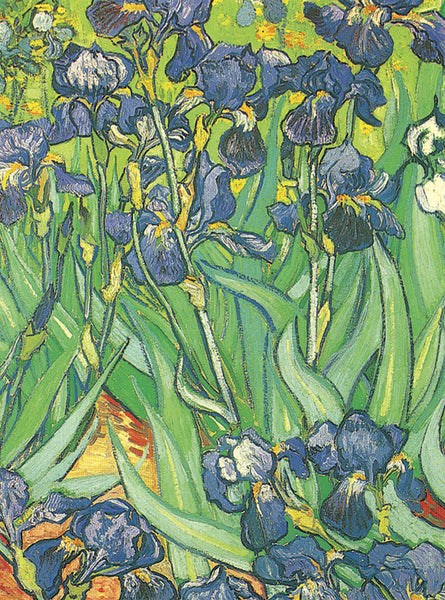 Van Gogh Notebook (Mini Dover)