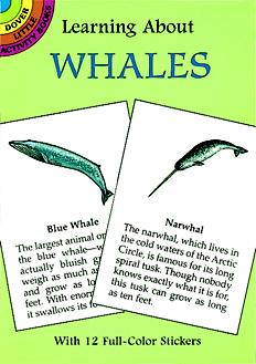 Learning About Whales (Mini Dover)
