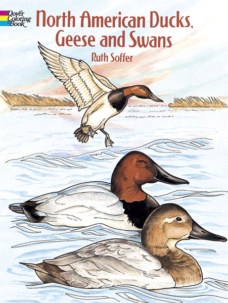 North American Ducks, Geese, and Swans Coloring Book